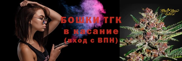 прущий лед Касимов