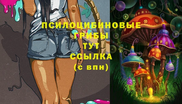 прущий лед Касимов