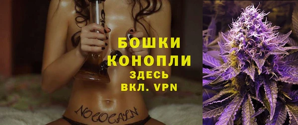прущий лед Касимов