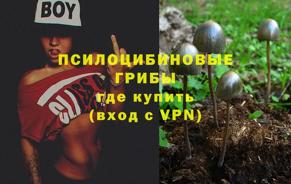 мдпв Киреевск