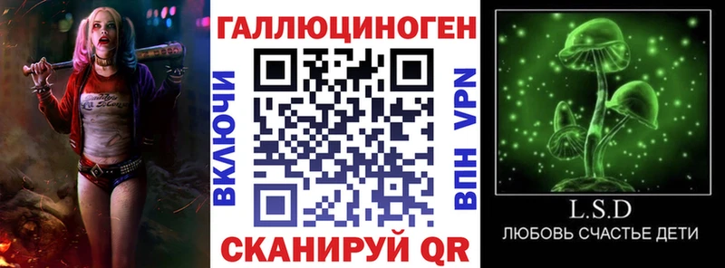 Купить закладки  Отрадный  Псилоцибиновые грибы Psilocybine cubensis 
